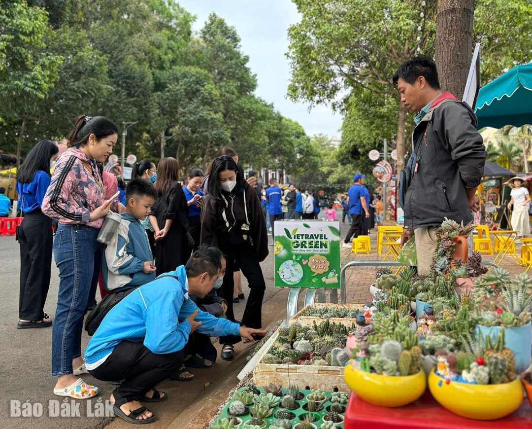 Ngày hội thanh niên sôi nổi