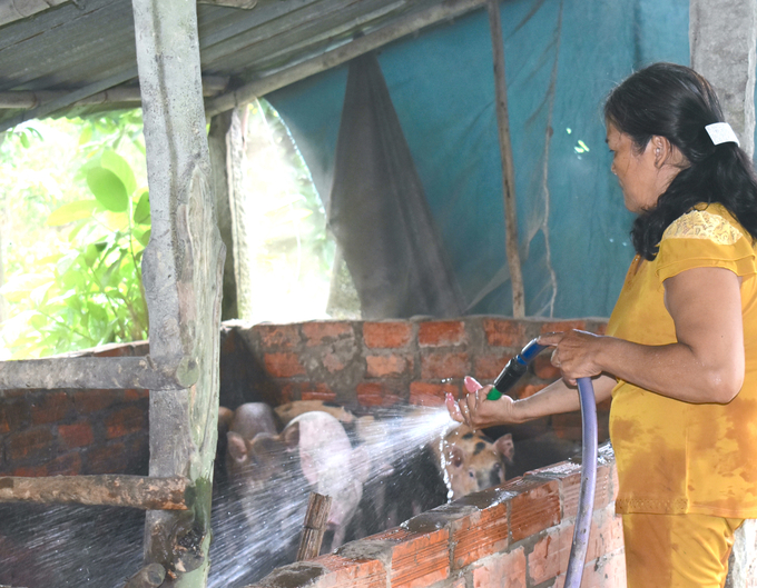 Chọn con giống có nguồn gốc rõ ràng, sức khỏe tốt sẽ giúp hạn chế rủi ro dịch bệnh.