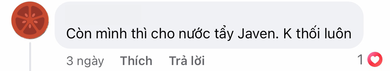 Những bình hoa được chăm sóc cẩn thận, tươi lâu bền đẹp