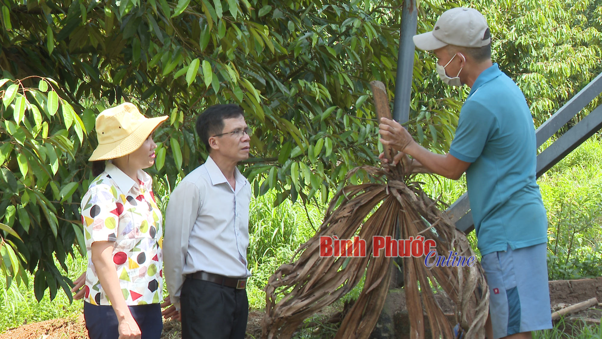 Nuôi dơi - làm chơi ăn thiệt