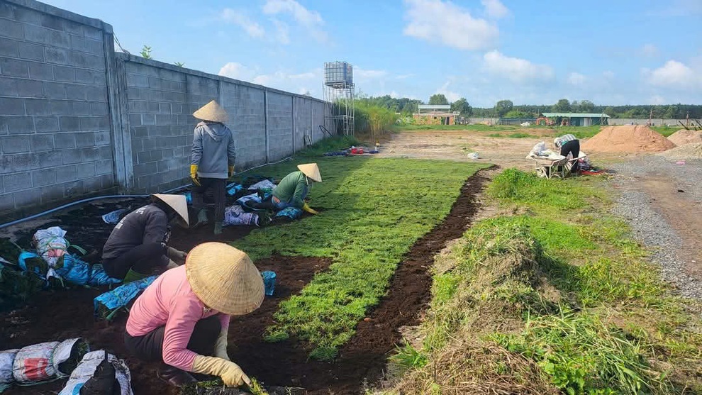 Hình ảnh con đường mới được xây dựng tại Mebi Farm