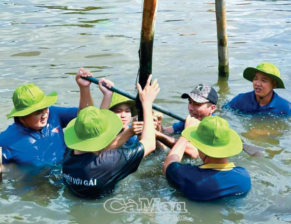 ĐVTN xã Trí Phải, huyện Thới Bình gia cố bờ kè các tuyến sông.