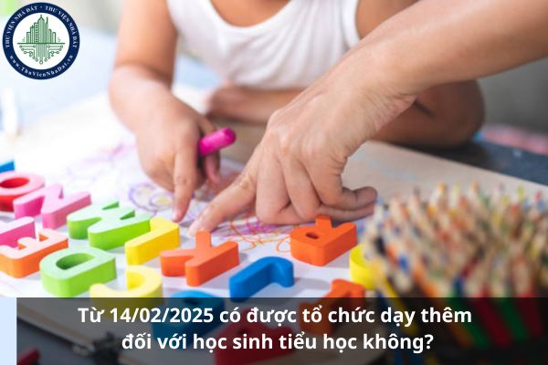 Có được tổ chức dạy thêm đối với học sinh tiểu học từ 14/02/2025 không?