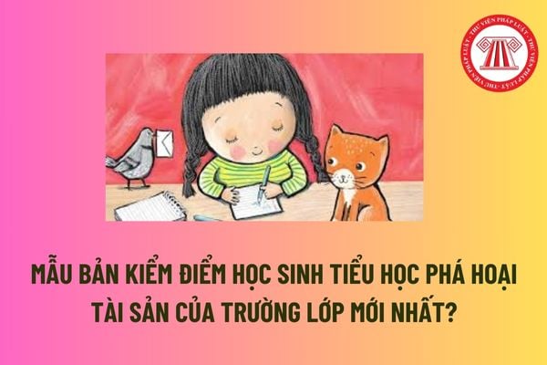 Hướng dẫn viết bản kiểm điểm học sinh tiểu học phá hoại tài sản của trường lớp mới nhất? Tải về tại đâu?