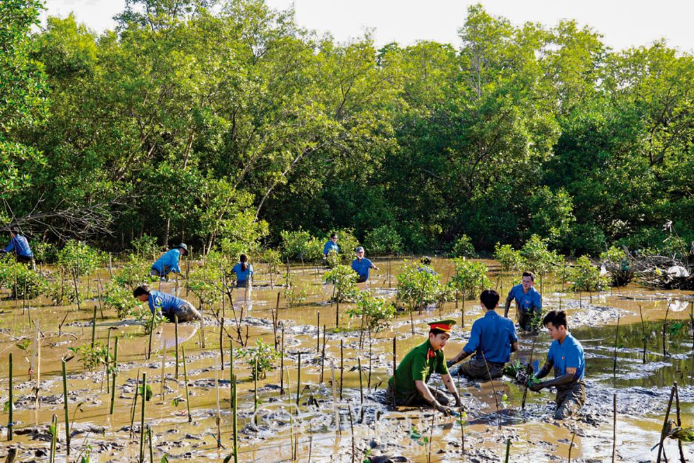 ĐVTN huyện Trần Văn Thời tích cực tham gia trồng rừng, cùng địa phương ứng phó biến đổi khí hậu.