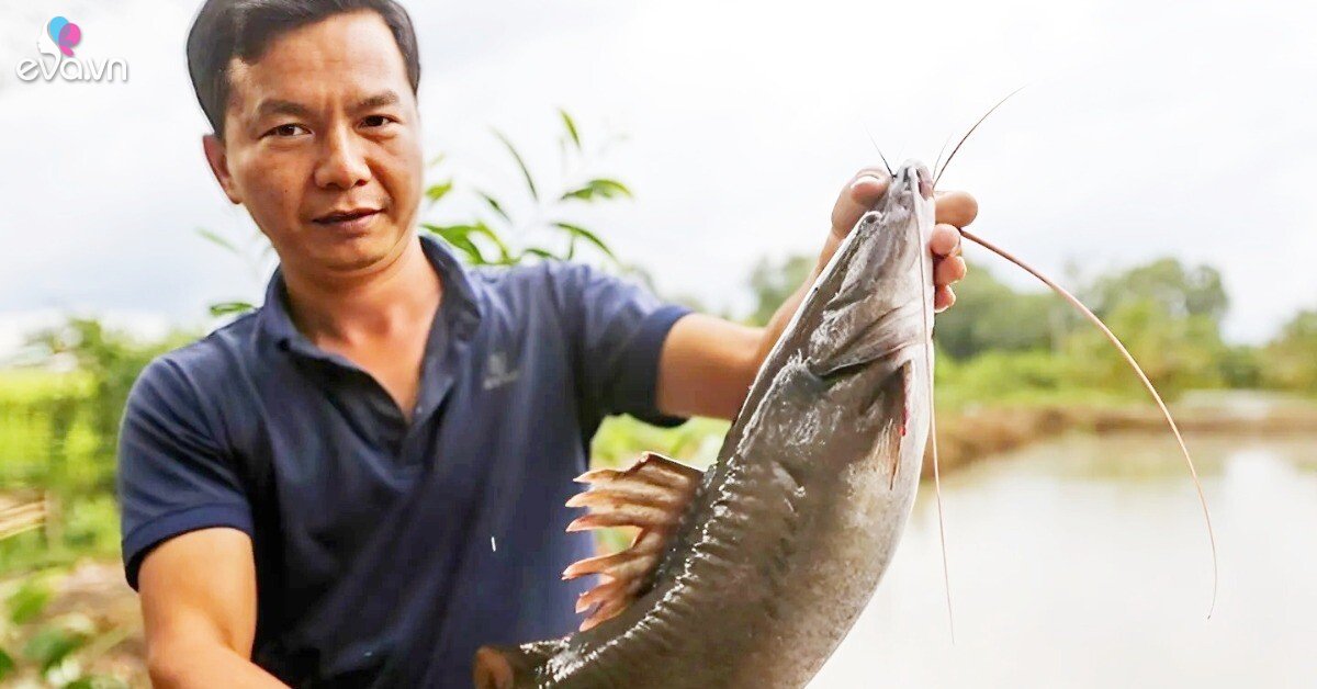 Mạnh dạn đầu tư nuôi loài “thủy quái” vừa ngon vừa đẹp, anh nông dân bỏ túi gần nửa tỷ đồng/năm rất nhẹ nhàng 